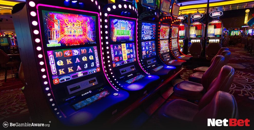 virgopg - App Bet Oficial